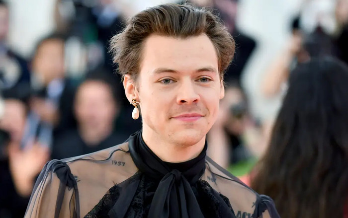 Harry Styles chấn động khi bất ngờ bị tấn công tại Anh, đưa hết tiền mặt để thoát thân! Ảnh 2