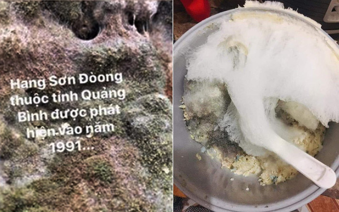 Phòng trọ bẩn xưa rồi, nồi cơm mốc meo tựa thảm thực vật mới khiến dân mạng 'cạn lời' Ảnh 2