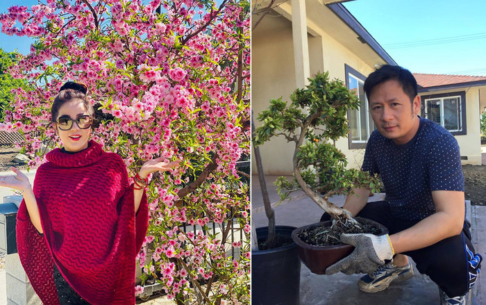 Nhà ở trời Tây của ca sĩ Bằng Kiều có gì khiến Thúy Nga phải trầm trồ khen ngợi? Ảnh 2