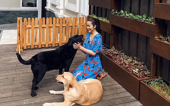 Rung động thực sự vì biệt thự triệu đô của Tăng Thanh Hà và ông xã Louis Nguyễn Ảnh 2