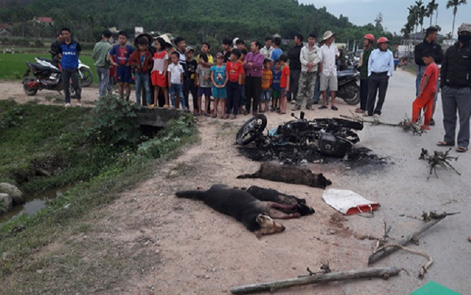 2 thanh niên trộm chó bị người dân đốt xe, vây đánh đến thương vong Ảnh 2