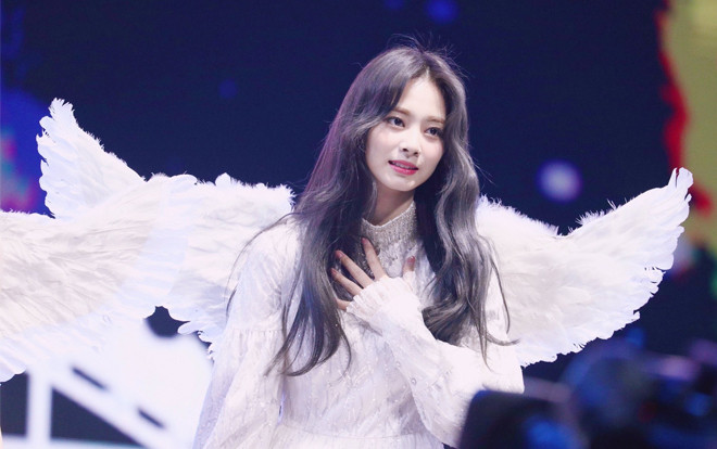 Thực hư chuyện Tzuyu (Twice) bị fan Trung đả kích khi chỉ quyên góp cho mỗi Hàn Quốc giữa thời điểm Covid-19 hoành hành? Ảnh 2