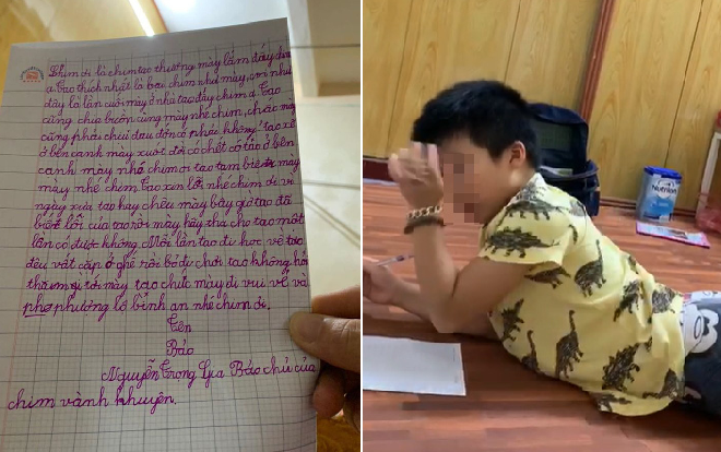 Cậu bé lớp 3 viết thư xin lỗi chú chim vành khuyên bị chuột ăn thịt khiến CĐM 'vừa cười vừa thương' Ảnh 2