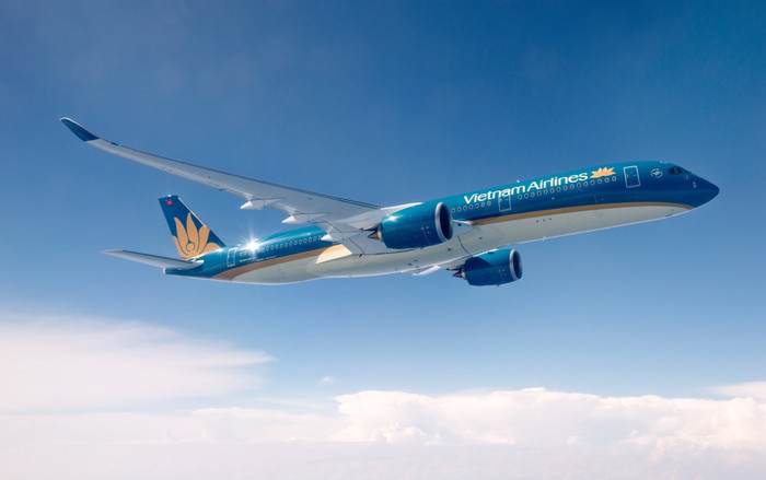 Nóng: Hành khách người Nhật dương tính với COVID-19 trên chuyến bay VNA, toàn bộ đoàn bay bị cách ly Ảnh 2