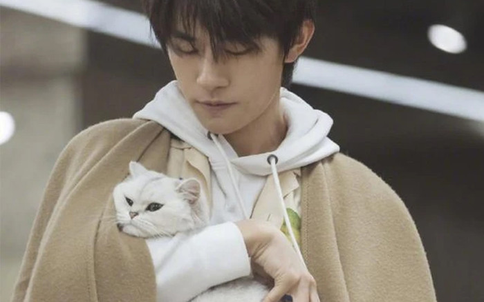 Anti-fan chỉ trích Dịch Dương Thiên Tỉ kém chuyên nghiệp chỉ vì… đem quá nhiều mèo vào trong chương trình Ảnh 2