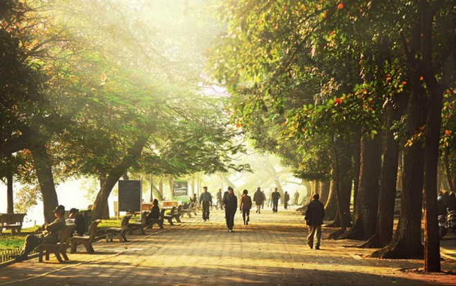 Dự báo thời tiết hôm nay (12/3): Cả nước đều có nắng, có nơi trên 36 độ Ảnh 2