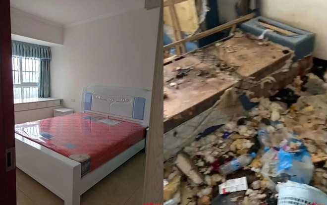 Cho gái xinh thuê nhà, chủ nhà 'ngã ngửa' khi nhận lại phòng không khác gì bãi rác Ảnh 2