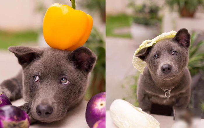 Khoe bộ ảnh diễn sâu, 'idol' Nguyễn Văn Dúi tiếp tục 'đốn tim' cộng đồng mạng Ảnh 2