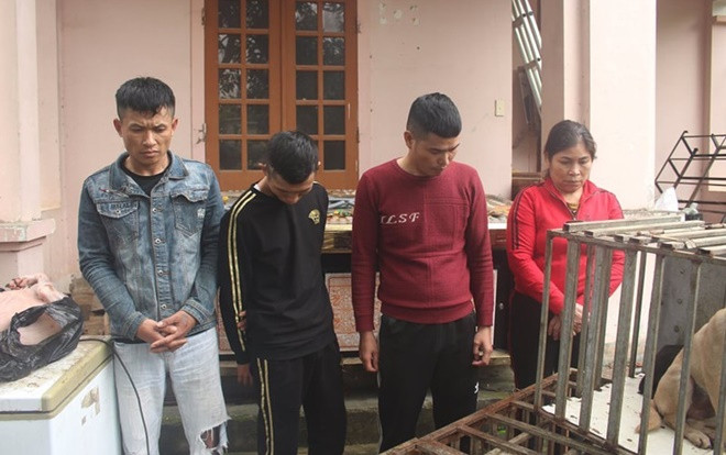 Triệt phá nhóm 'cẩu tặc' thực hiện hơn 100 vụ ở Nghệ An Ảnh 2