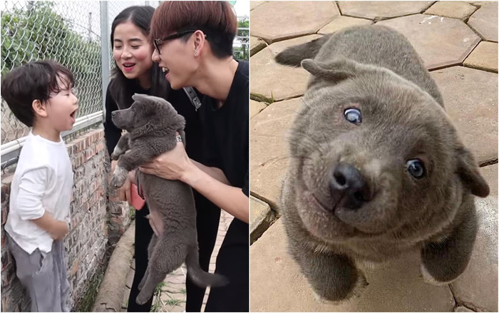 Là 'idol giới trẻ' hot bậc nhất mạng xã hội, Nguyễn Văn Dúi vẫn bị Ba Duy chê tơi tả Ảnh 2