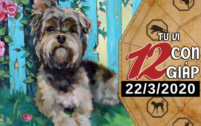 Tử vi chủ nhật ngày 22/3/2020 của 12 con giáp: Tuất tài chính ổn định, Dần trở thành tâm điểm Ảnh 2