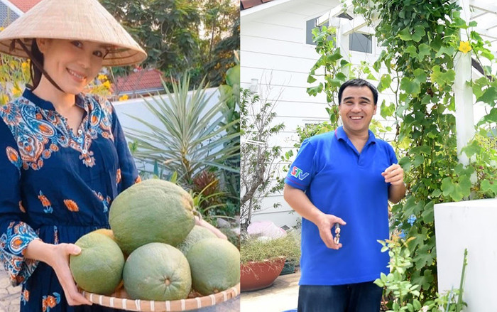 Ở nhà phòng dịch COVID-19, gia đình MC Quyền Linh rủ nhau thu hoạch vườn cây trĩu quả trong căn biệt thự tiền tỷ Ảnh 2