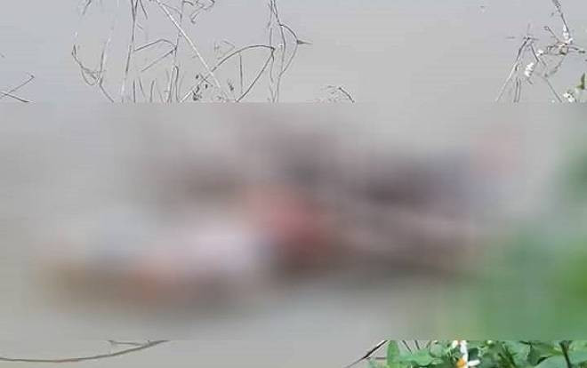 Phát hiện thi thể nam giới, phần đầu bọc kín bao tải nổi trên hồ Ảnh 2