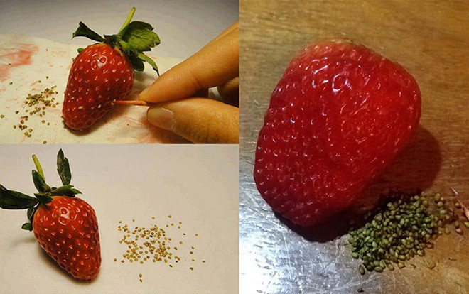 Những màn 'giết thời gian' mùa dịch khiến ai thấy cũng bật cười nghiêng ngã Ảnh 2