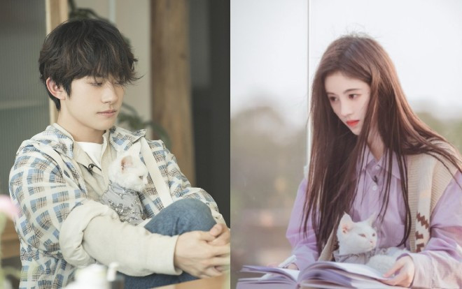 Dịch Dương Thiên Tỉ 'thất thủ' nhiều lần khi làm bếp, Cúc Tịnh Y khóc vì sai sót trong lúc phát sóng trong 'Bạn ơi hãy lắng nghe' Ảnh 2