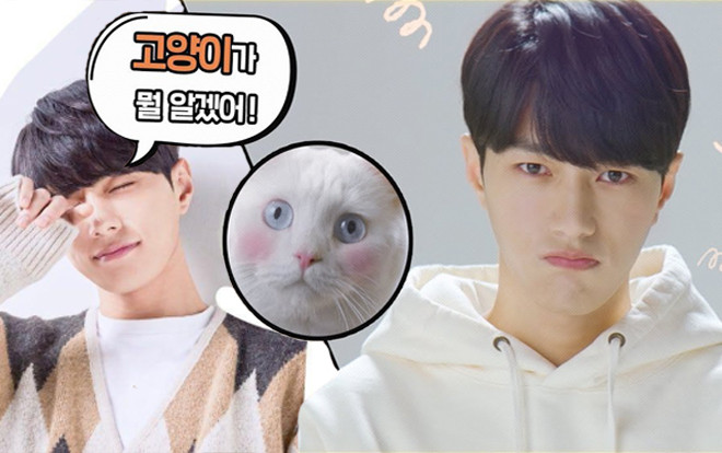 'Meow, Chàng Trai Bí Ẩn’ - Khi 'boss' hóa thành mỹ nam để chống ế cho 'sen' Ảnh 2