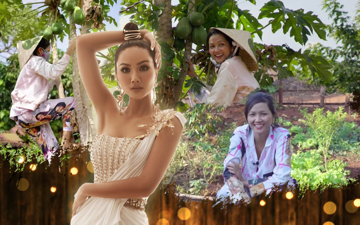 Về quê làm vườn, H'Hen Niê duyên dáng thừa nhận: 'Hen điên quá nên ế, làm hoa hậu mới có người vớt' Ảnh 2