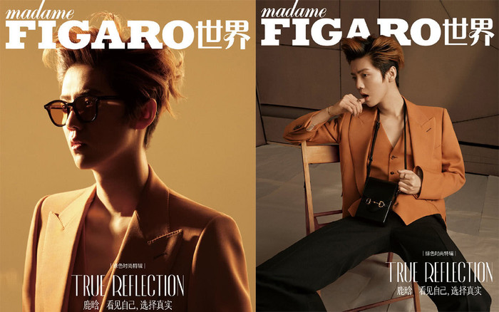 Lộc Hàm lại khẳng định vị thế của đỉnh cấp lưu lượng: Hơn 37 ngàn bản tạp chí cháy hàng chỉ trong vài giây! Ảnh 2