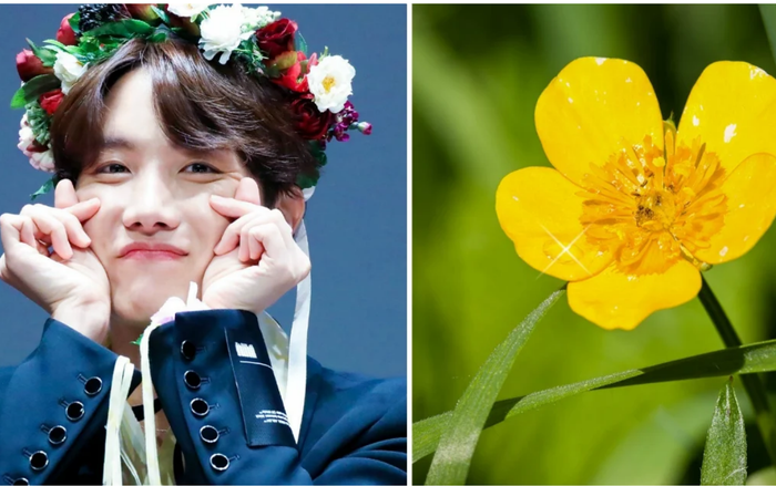 Ý nghĩa cực hay ho đằng sau những loài hoa đại diện cho ngày sinh của các thành viên BTS Ảnh 2
