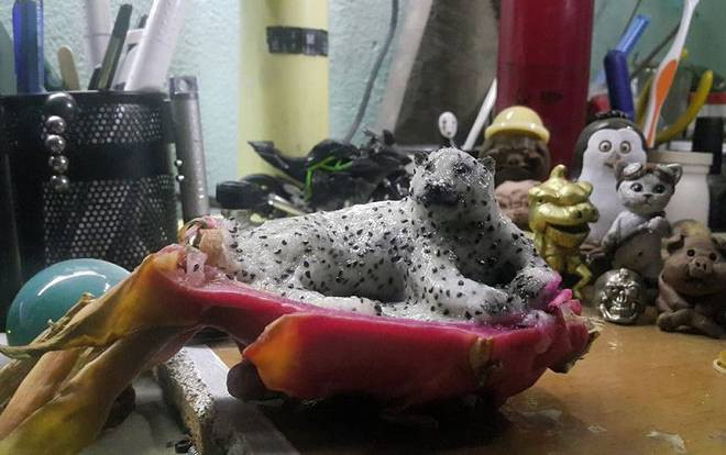 Chán trò đếm hạt thanh long, nam sinh chuyển sang 'điêu khắc' bạch hổ nhưng phản ứng của cư dân mạng mới là điều đáng chú ý Ảnh 2