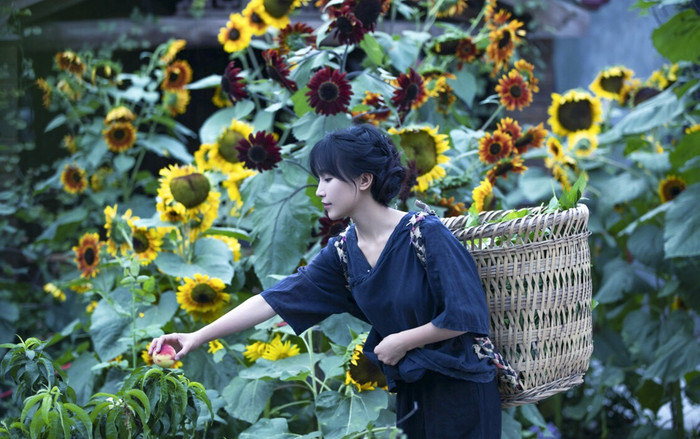 Vlogger Lý Tử Thất bỏ quay video 55 ngày và sự thật đằng sau khiến ai cũng cảm động Ảnh 2