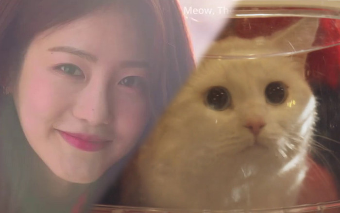 Tập 1 'Meow, Chàng trai bí ẩn': Mối quan hệ sen - boss bắt đầu Ảnh 2