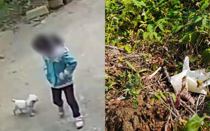 Bé gái 10 tuổi bị anh họ sát hại, giấu xác trong bụi cây Ảnh 2