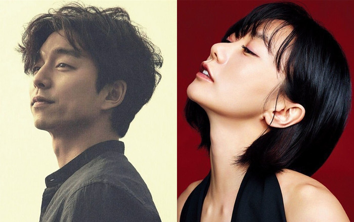 Gong Yoo tham gia phim mới của Netflix, sẽ 'yêu đương' Bae Doona? Ảnh 2