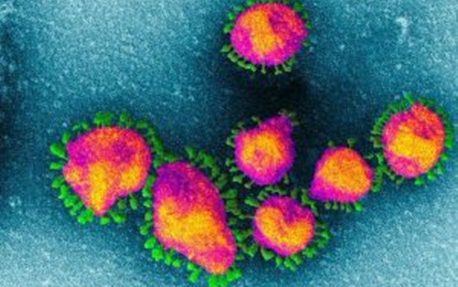 Phát hiện mới về đột biến chưa từng thấy của virus corona Ảnh 2