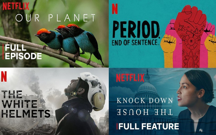 Nghỉ học vì COVID-19? Sau đây là loạt phim giáo dục của Netflix đáng được chiếu hoàn toàn miễn phí trên Youtube Ảnh 2