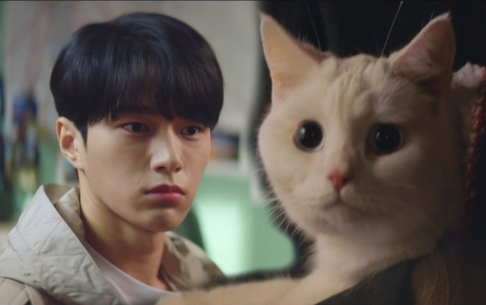 Tập 5 'Meow, Chàng trai bí ẩn': Chú mèo tinh ranh L (Infinite) đã phát hiện được gì trong mối quan hệ của cô chủ và crush? Ảnh 2