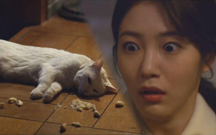 Tập 7 'Meow, Chàng trai bí ẩn': Chú mèo L (Infinite) tập 3 uống sữa bội thực, tập 7 ăn tỏi xuýt chết Ảnh 2