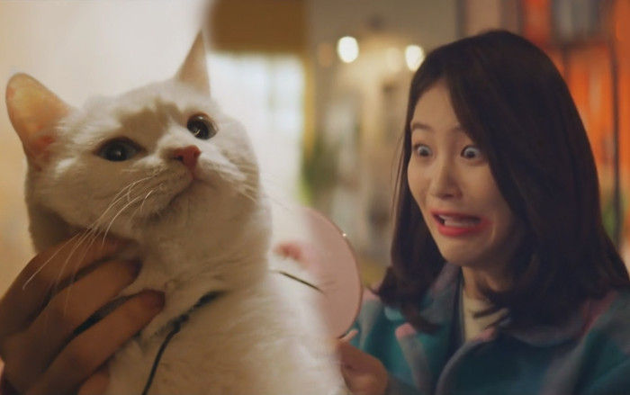 Tập 9 'Meow, Chàng trai bí ẩn': Chú mèo L (Infinite) ra trổ tài trang điểm Ảnh 2