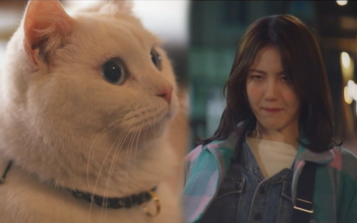 Tập 10 'Meow, Chàng trai bí ẩn': Sen say bí tỉ, may mà có boss đi theo bảo vệ Ảnh 2