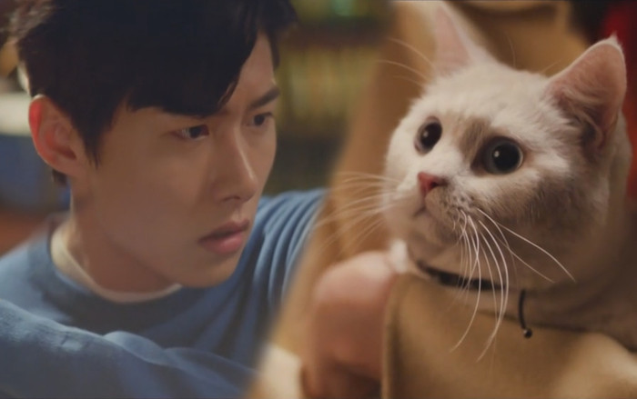 Tập 11 'Meow, Chàng trai bí ẩn': Chú mèo L (Infinite) bị nghi ngờ thân phận Ảnh 2