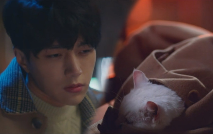 Tập 12 'Meow, Chàng trai bí ẩn': Gục ngã trên ghế đá, chú mèo L (Infinite) bị bắt cóc Ảnh 2