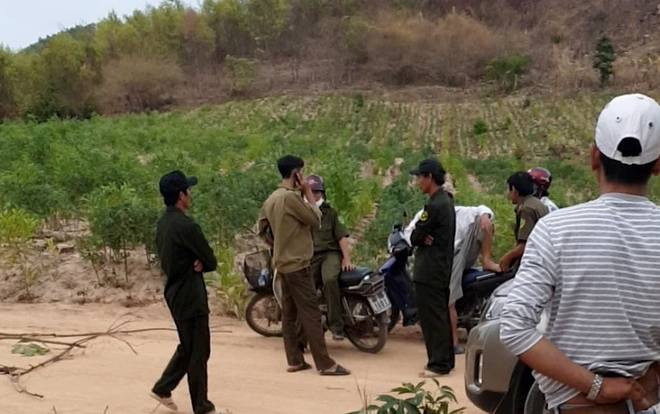 Hỗn chiến giữa 2 nhóm thanh niên ở Bình Thuận, 1 người tử vong Ảnh 2