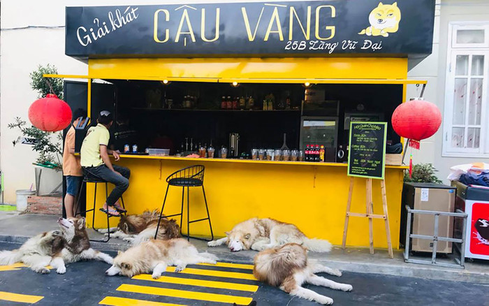 Chủ quán cà phê Đà Lạt lên tiếng về vụ quán bị tố ngược đãi chó mèo Ảnh 2