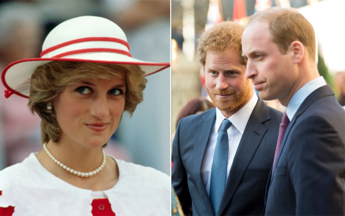 Tiết lộ gây sốc về quá khứ của Công nương Diana khiến William và Harry đau khổ Ảnh 2