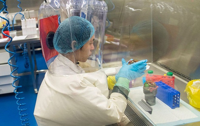 Hoài nghi 'rò rỉ nCoV' từ phòng thí nghiệm Vũ Hán Ảnh 2