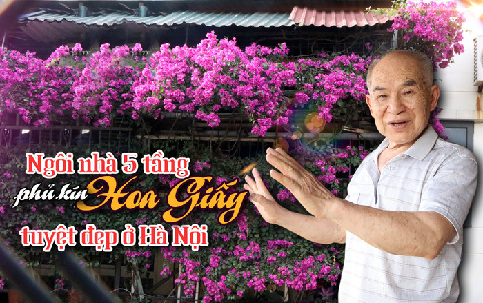 Ngôi nhà 5 tầng phủ kín hoa giấy tuyệt đẹp ở Hà Nội: 'Mùa hè mát rượi, hàng xóm còn bảo nhờ ông mà tôi được ngắm hoa đẹp' Ảnh 2