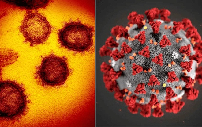 Phát hiện đột biến mới của virus SARS-COV-2 dễ lây lan hơn, gây khó khăn cho quá trình tìm vaccine Ảnh 2