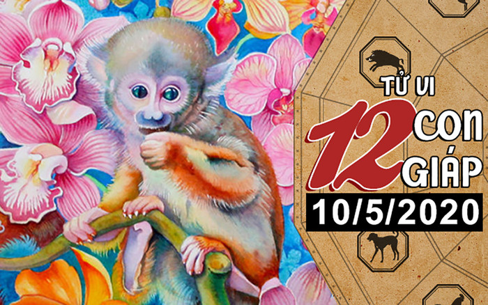 Tử vi chủ nhật ngày 10/5/2020 của 12 con giáp: Sửu tài chính giảm sút, Thân tiêu xài hoang phí Ảnh 2