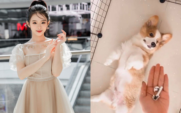 'Phận làm sen' không lối thoát như Linh Ka: Vừa tậu boss chưa lâu đã 'giận tím người' vì cún cưng cắn nát đồ hiệu của người khác Ảnh 2