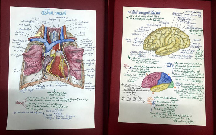 Nam sinh ngành Y gây 'sốt' với bộ ảnh vẽ bộ phận cơ thể người chân thực đến mức khó tin Ảnh 2
