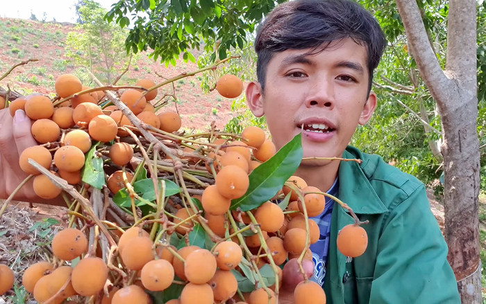 'YouTuber nghèo nhất Việt Nam' bỏ nhà lên rừng ở ẩn vì lý do bất ngờ Ảnh 2