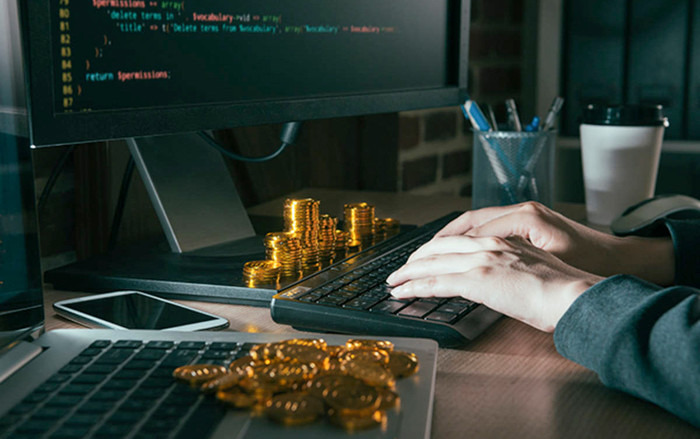 Thiên tài máy tính tuổi teen bị buộc tội đánh cắp 24 triệu USD tiền mã hóa Ảnh 2