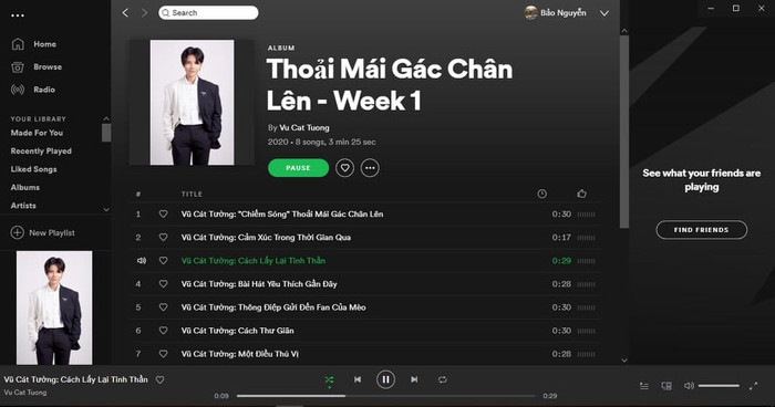 Playlist này sẽ được chính Vũ Cát Tường cập nhật thường xuyên.