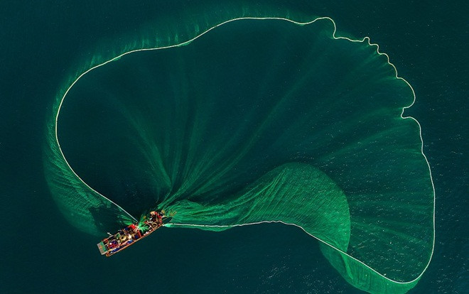 Cảnh ngư dân tung lưới đánh cá ở Phú Yên đầy mê hoặc trên báo nước ngoài Ảnh 2