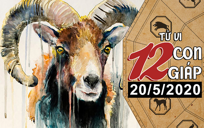 Tử vi thứ 4 ngày 20/5/2020 của 12 con giáp: Mão dễ mắc phải sai lầm, Mùi vượng vận đào hoa Ảnh 2